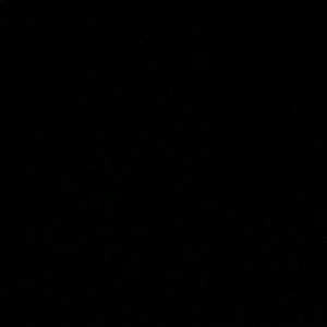 Meet your Posher, Karina